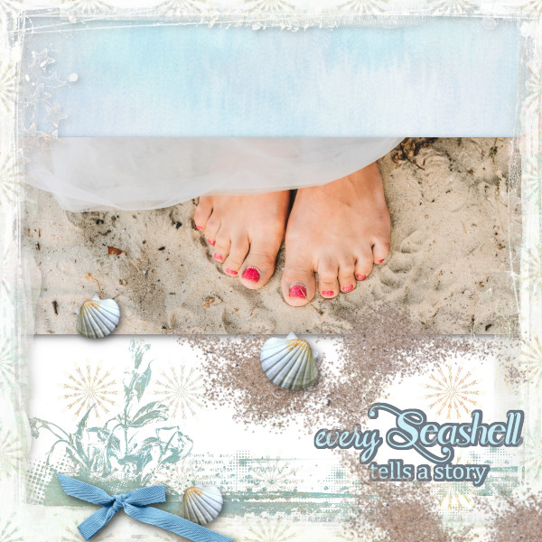 Seashells