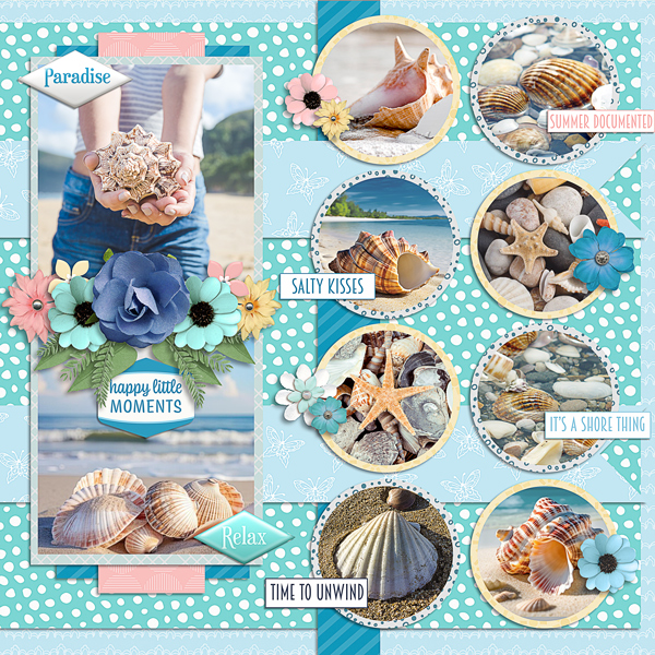 Seashells