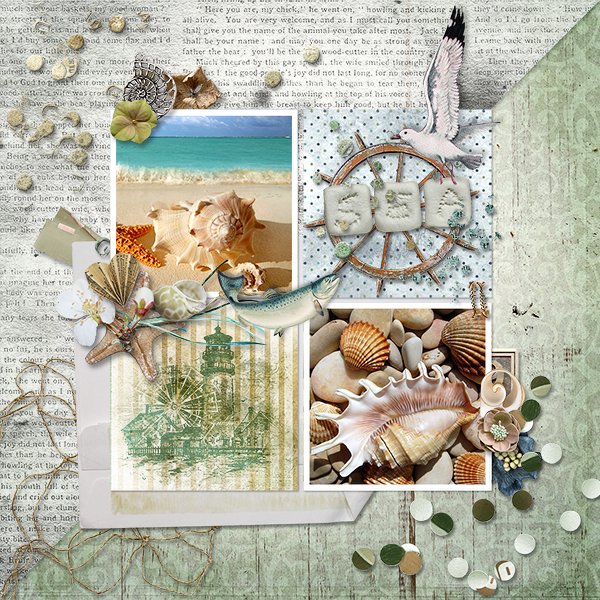 SeaShells_ollitko_600.jpg