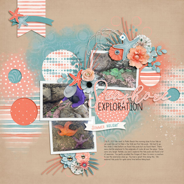 Seashore Exploration