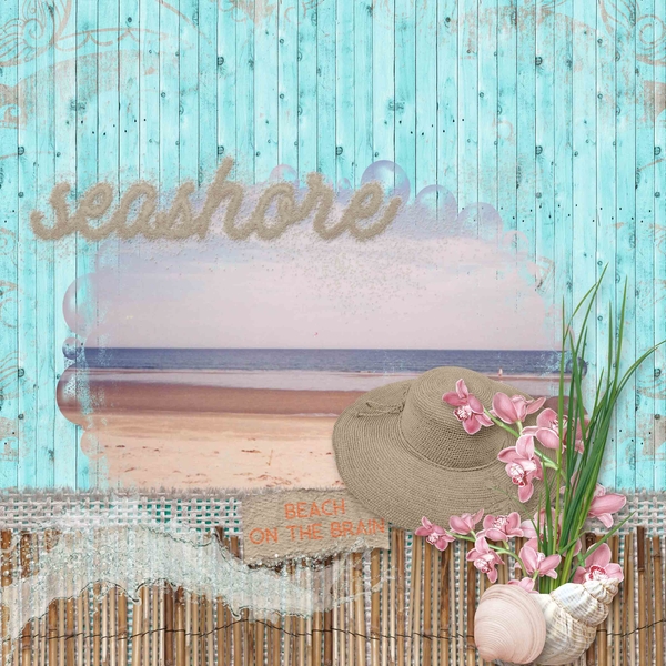 Seashore