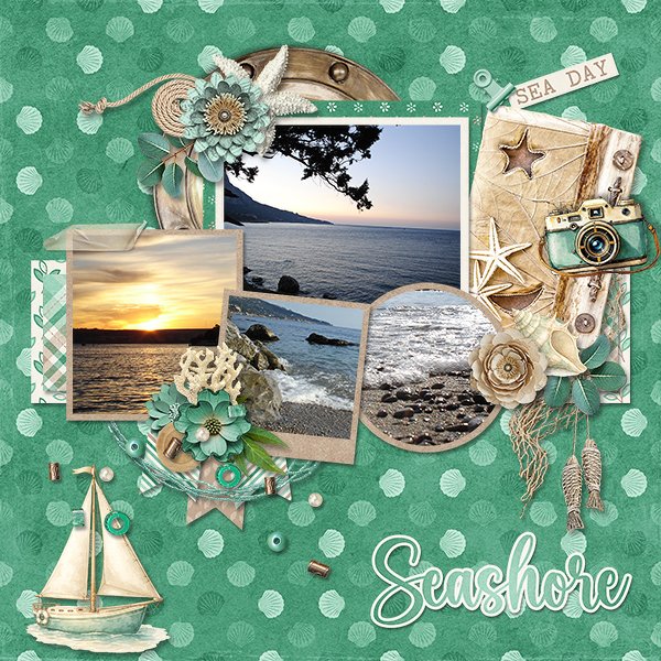 Seashore_ollitko_600.jpg
