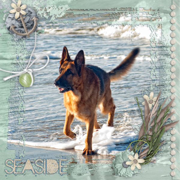 Seaside boy