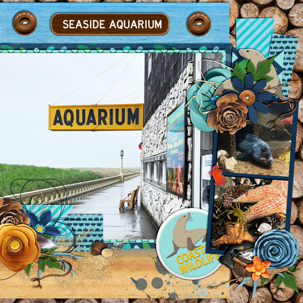 Seaside Oregon Aquarium