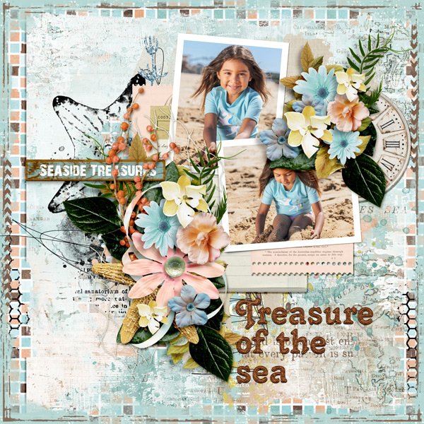 Seaside Treasures