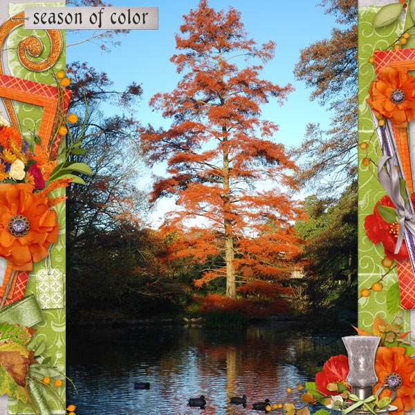 Season of Colour