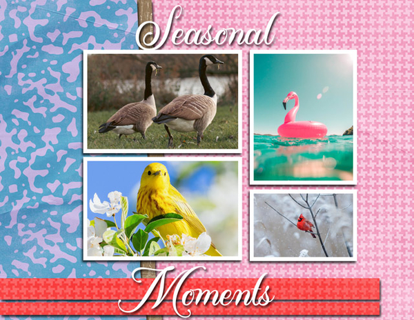 Seasonal Moments