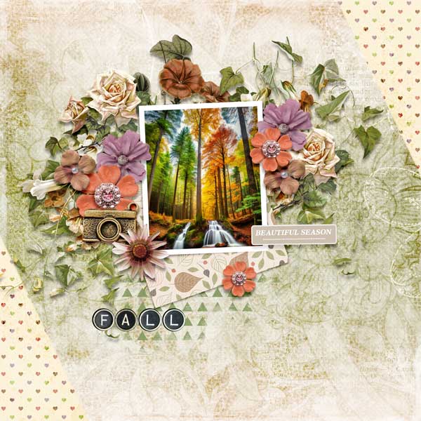 seasonal-splendor-carol-w
