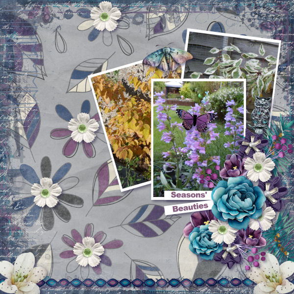 Seasons Beauties