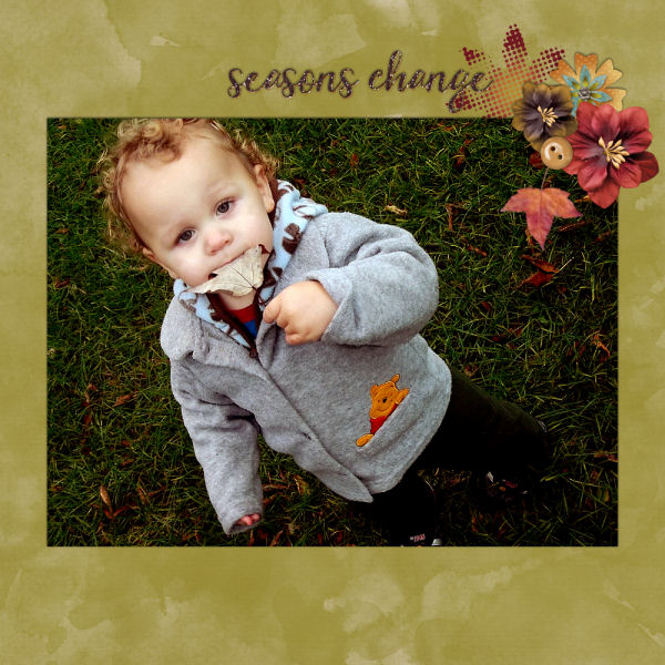 Seasons Change