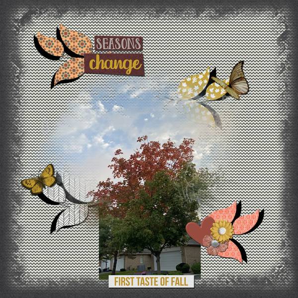 Seasons Change