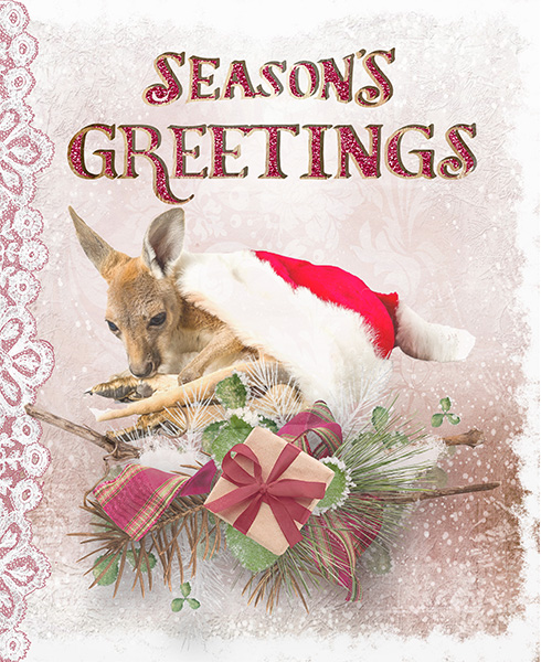 Seasons Greetings - Card