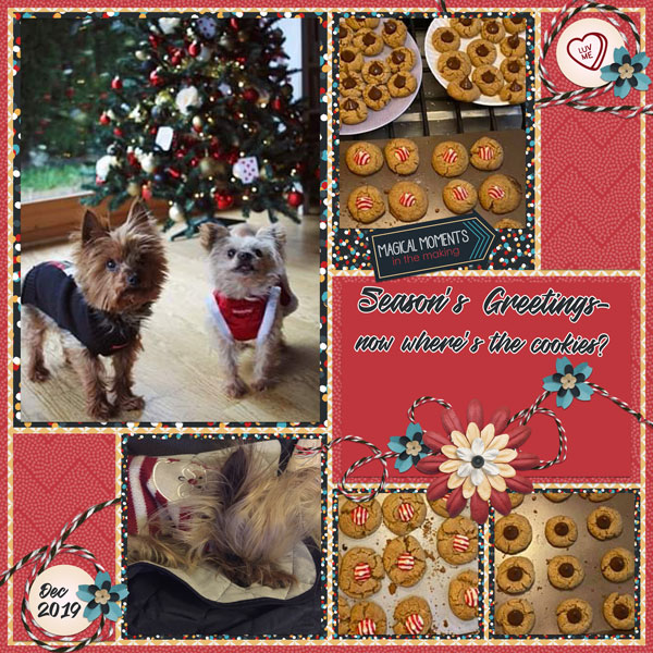 Season's Greetings Mean Cookies Right?