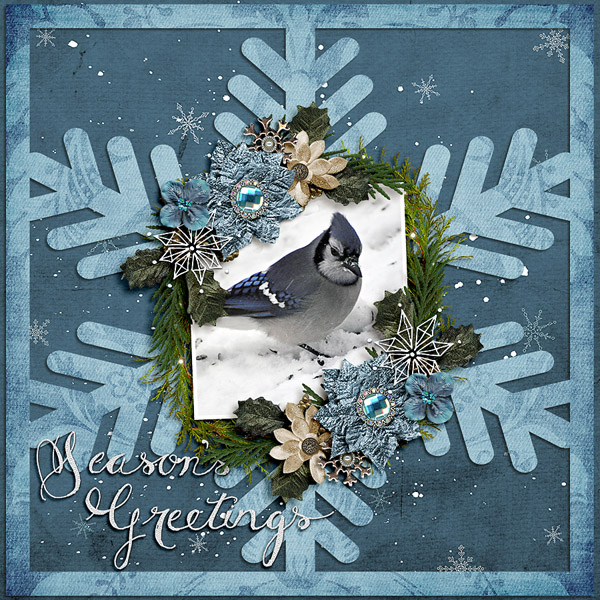 Seasons greetings