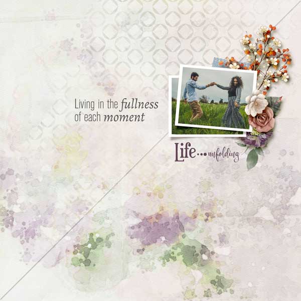 Seasons-of-Life-Tami-Miller.jpg
