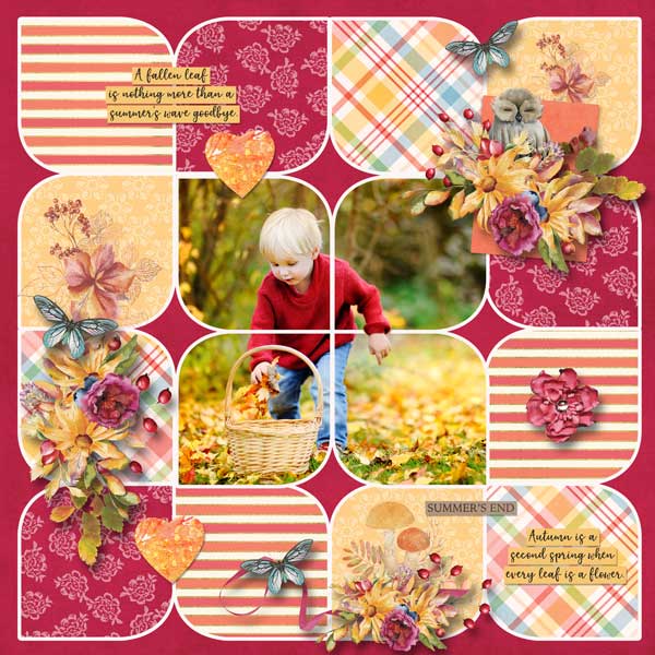 Seasons: Summer into Fall