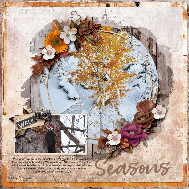 Seasons