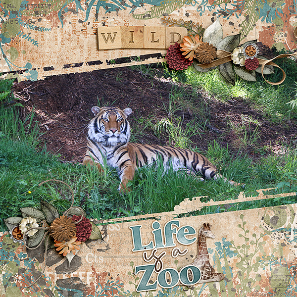 Seattle-Zoo