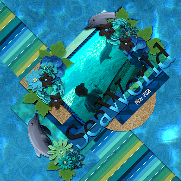 seaworld-dolphin-521
