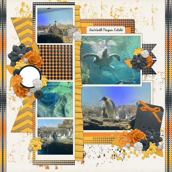 SeaWorld Penguins