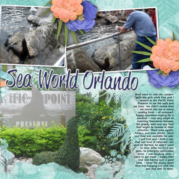 Seaworld Seals