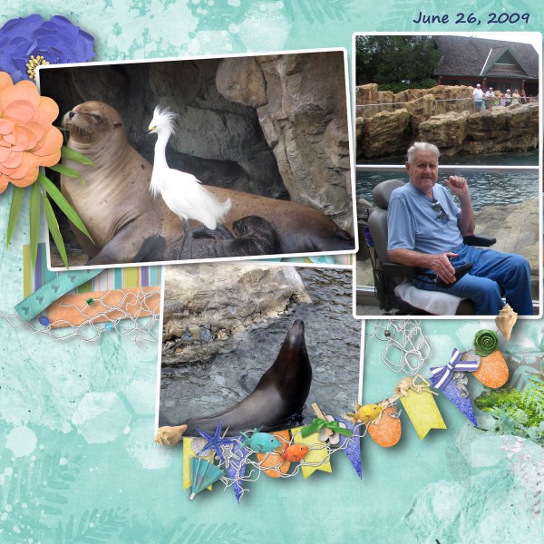 Seaworld Seals
