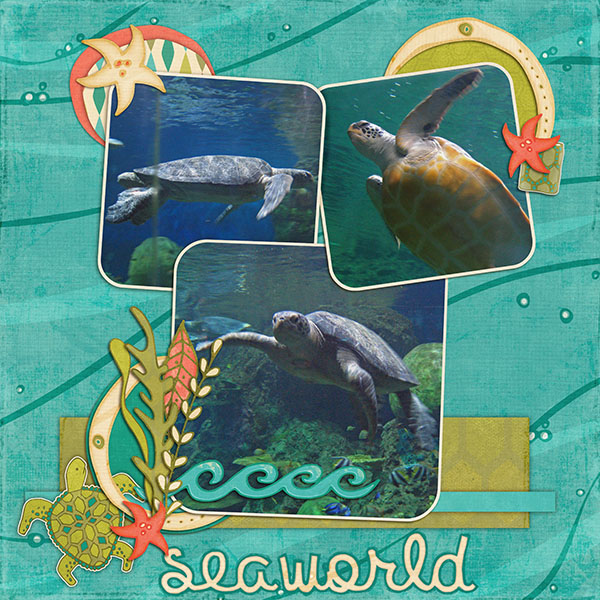 SeaWorld Turtles