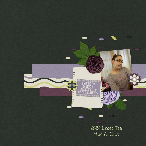 SEBC Tea 5-7-16
