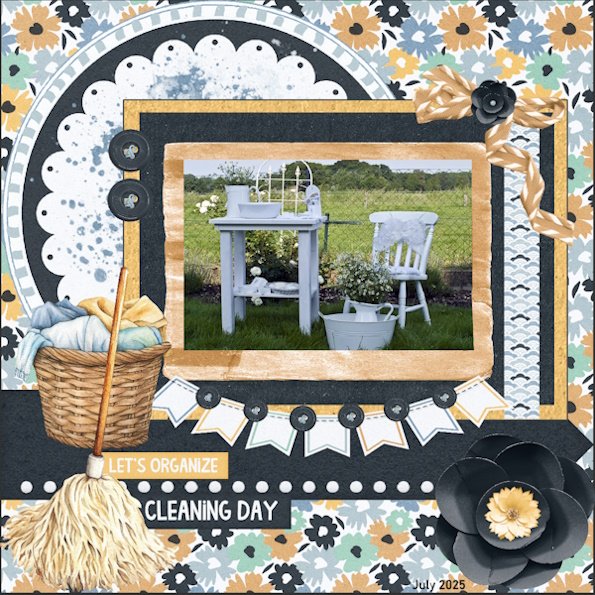 second lo-7e-July 2025 Daily Downloads Challenge-Cleaning.jpg