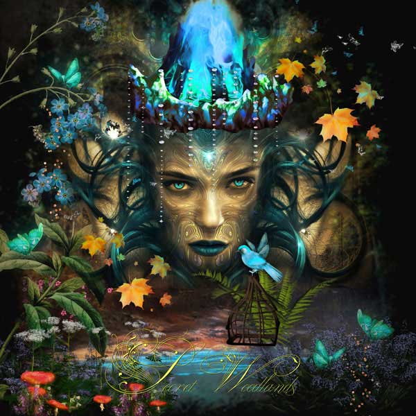 Secret Woodlands