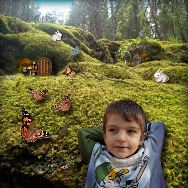 secret woods