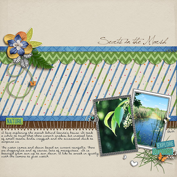 Secrets in the Marsh