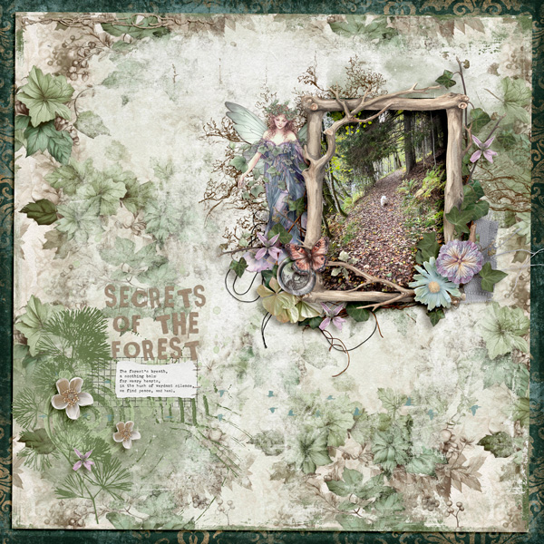 Secrets of the forest