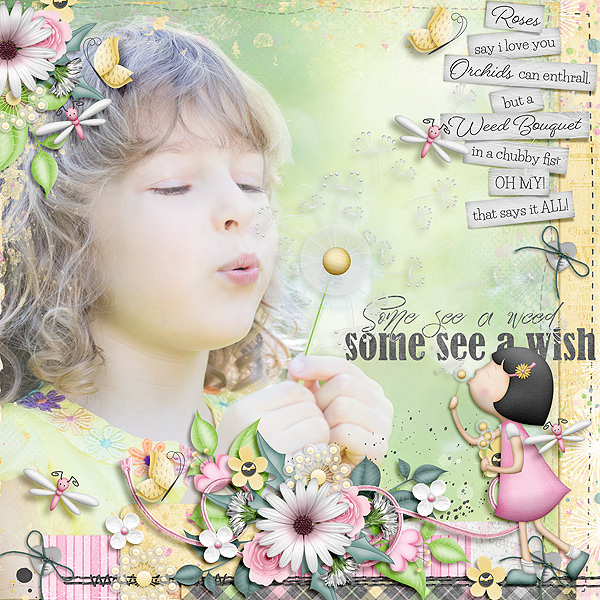 see a wish