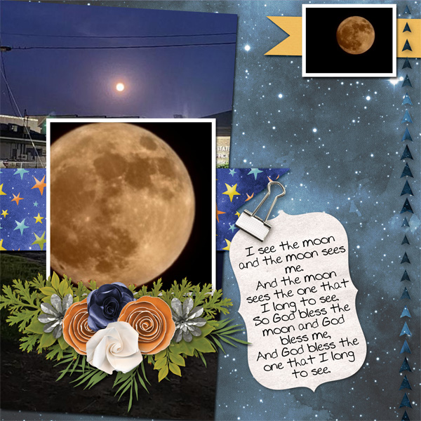 See The Moon