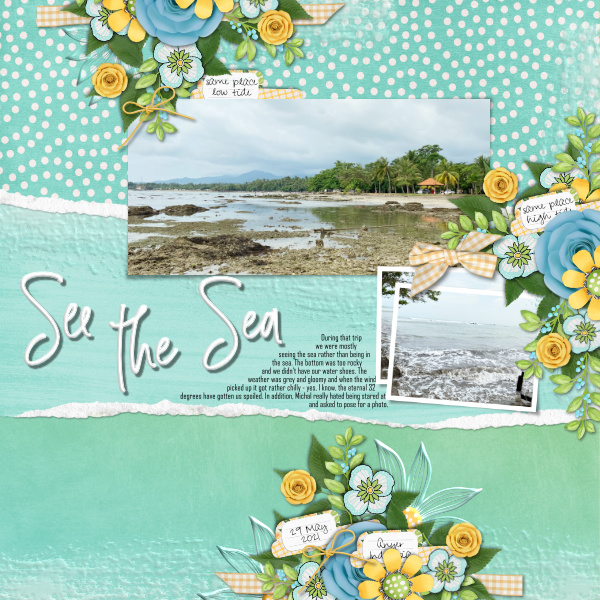 See the Sea