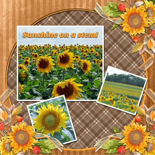 See what the sun can do.