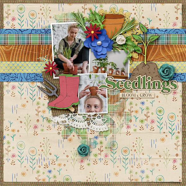 Seedlings