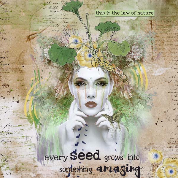 Seedlings