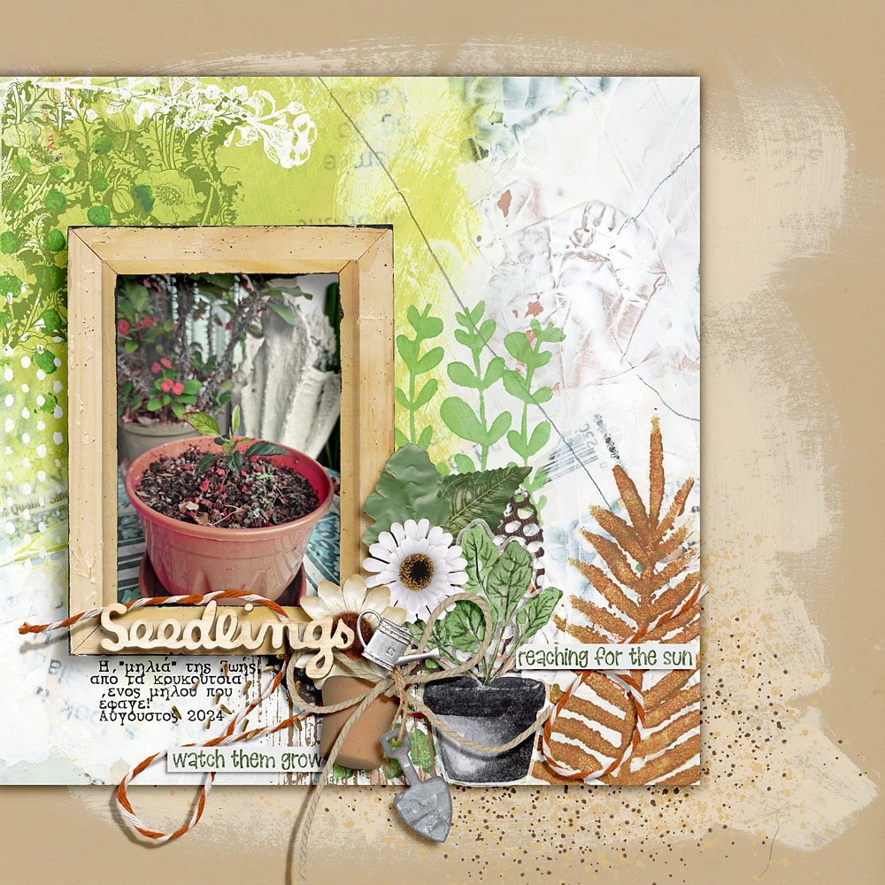 Seedlings