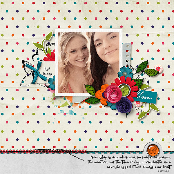 Seeds of Friendship
