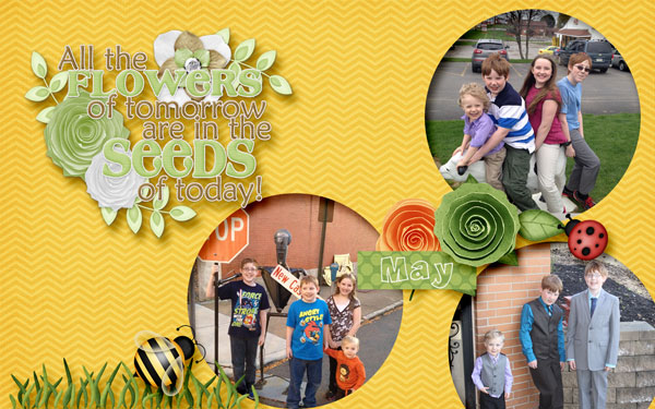 Seeds of Tomorrow