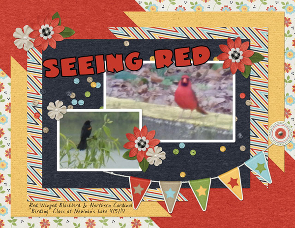Seeing Red