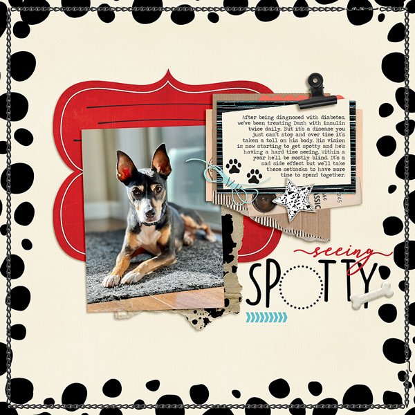 Seeing Spotty