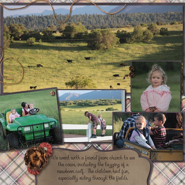Seeing The Cows