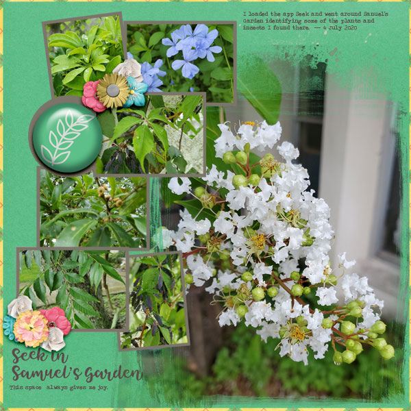 Seek in Samuel's Garden