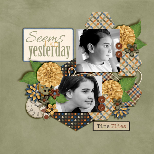 Seems-Like-Yesterday2
