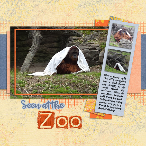 Seen at the Zoo