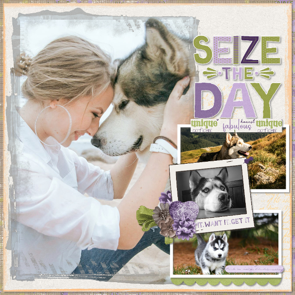 Seize the day