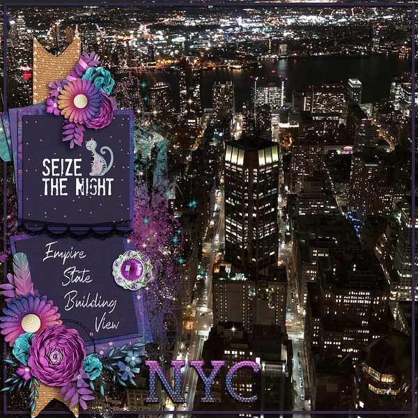 Seize the Night NYC
